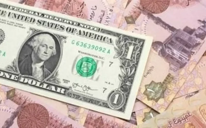 استقرار التعاملات.. سعر الدولار أمام الجنيه المصري في البنوك خلال تعاملات السبت اليوميـة
